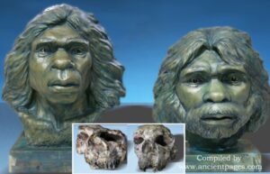 New Findings Rewrite Our Understanding Of Early Hominin Dispersal From Africa To Eurasia