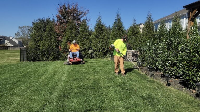 The downside of perfect green lawns » Yale Climate Connections