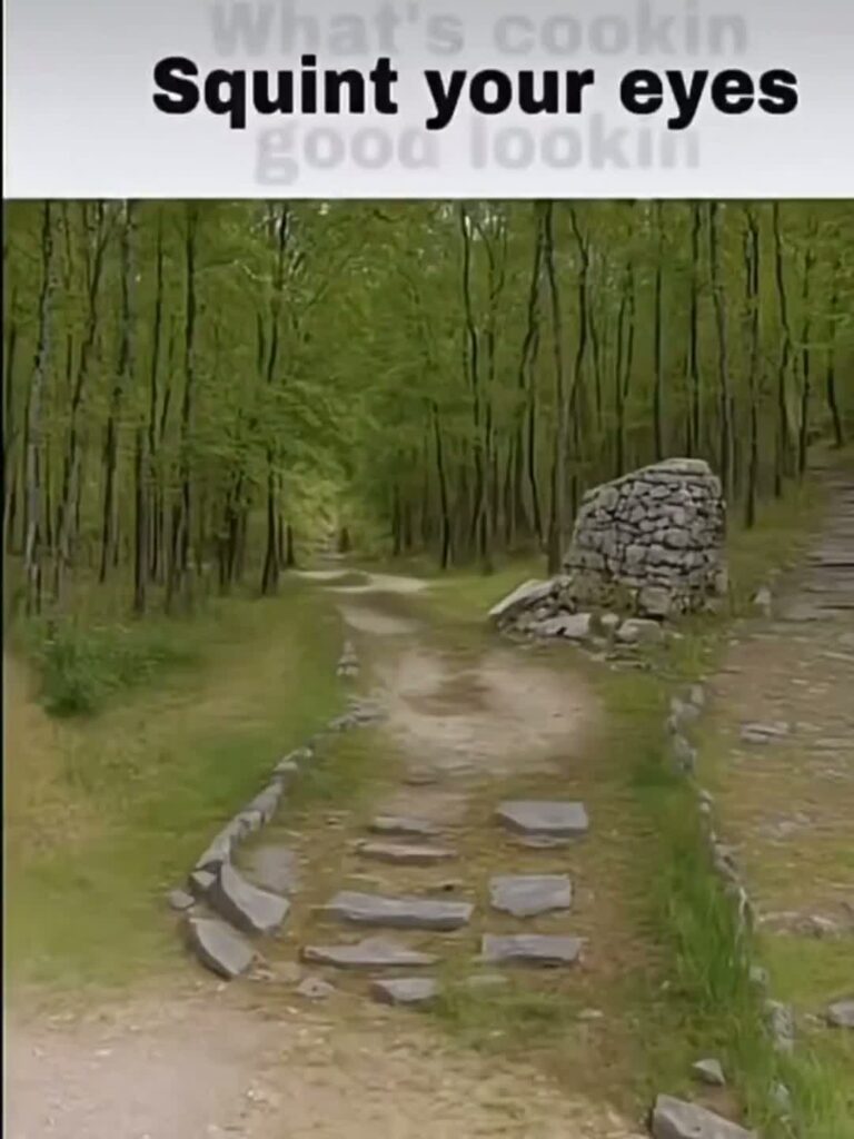 Bro thinks he is prodigy.