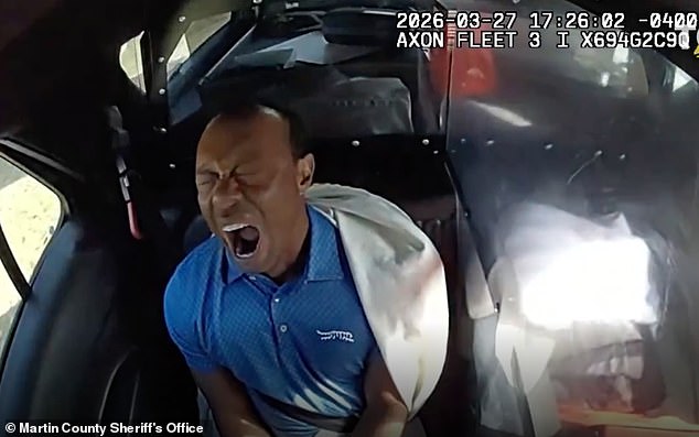 Tiger Woods’ private jet lands in Zurich as golf legend, 50, prepares for rehab in wake of DUI and car crash