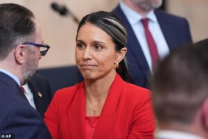 Embattled Tulsi Gabbard in fight for survival as rivals push smear campaign to force Trump’s hand