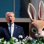 The Democrats’ audacious plot to force Trump into a mental fitness test amid signs of ‘dementia’