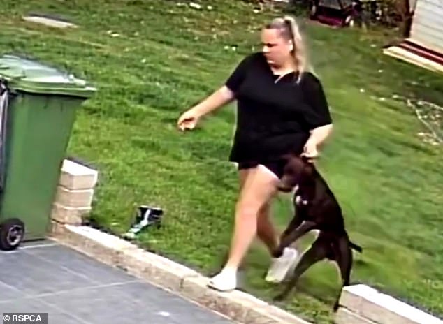 Pet sitters caught on camera kicking and dragging family dog they were paid £1,400 to look after while owners were on holiday