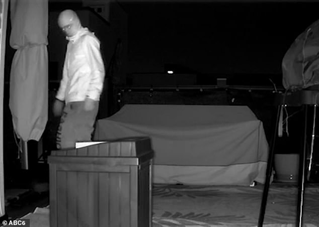 Woman checked night camera for raccoons then saw every homeowners worst nightmare STARING back at her