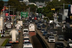 NSW considers stockpiling fuel reserves as ‘confidence drops in Albanese government’