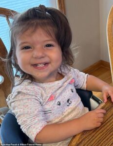 The little Ohio girl crushed to death by a car seat… and how the tragedy could upend the industry