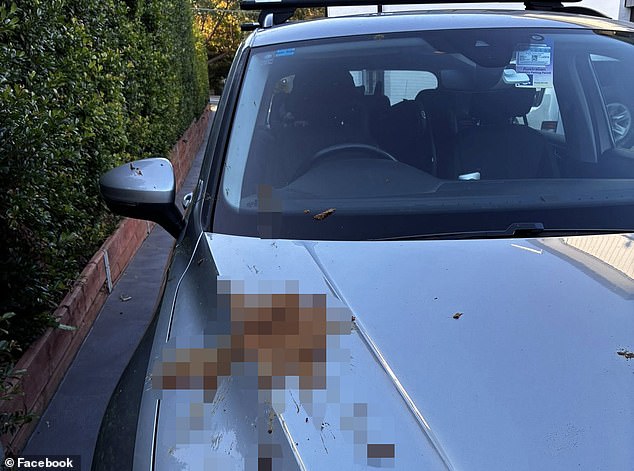 South Village Kirrawee terrorised by mystery ‘serial pooper’ flinging human waste from a high-rise balcony