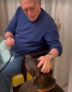 Brooklyn Beckham’s father-in-law Nelson Peltz is sued by housemaid ‘terrorised by pitbull from Nicola’s shelter that repeatedly attacked her’