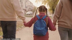 Hypocritical Labour politicians buy houses to get their children into high-performing schools while demonising the privately educated, argues PETER HITCHENS: ‘Left-wingers love privilege if they’re the ones benefiting’