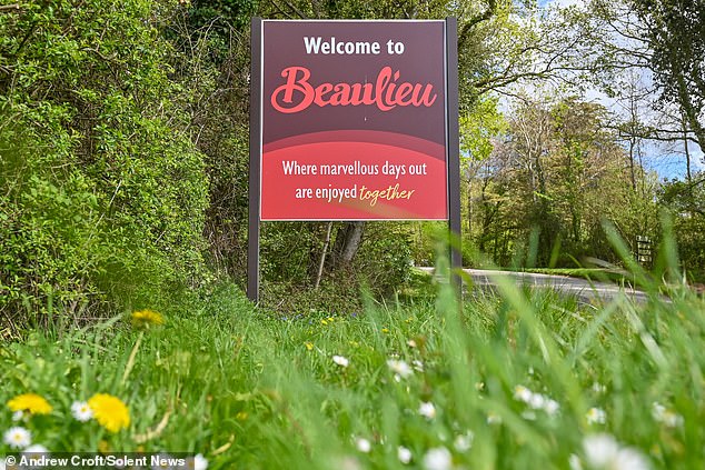 One of Britain’s most famous estates wins permission for car park in protected New Forest – despite outrage from villagers over ‘Trojan Horse’ project