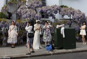 Why coachloads of Chinese tourists are flocking to your favourite beauty spot