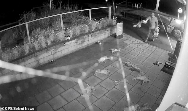 Man exclaims ‘tweet, tweet, tweet’ as he is cleared of dumping two dead birds and 50 hares outside pretty village shop