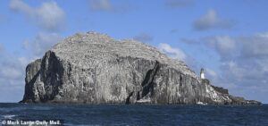 Ed Miliband’s puffin ‘killing fields’: How the world’s largest wind farm off the coast of North Berwick will massacre thousands of seabirds