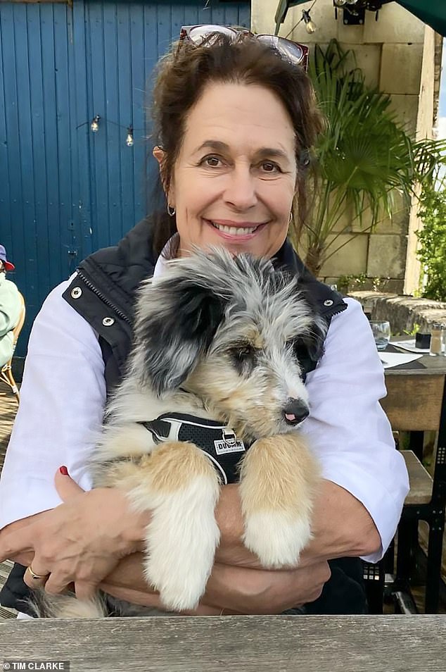 Murder in the Dordogne: Why, one year on, detectives are more convinced than ever that ‘sexual jealousy’ holds key to solving British mother-of-four’s killing in French countryside