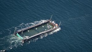 The duo behind ‘multi-million pound’ mission to save a whale… that could all be for nothing: Entrepreneur who was one of Germany’s richest men and ex-air stewardess racehorse owner