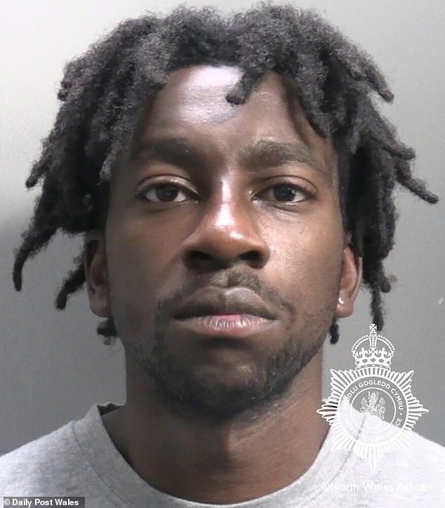 Nigerian migrant who raped teenager after dodging deportation because ‘it would breach his human rights’ is jailed for 17 years