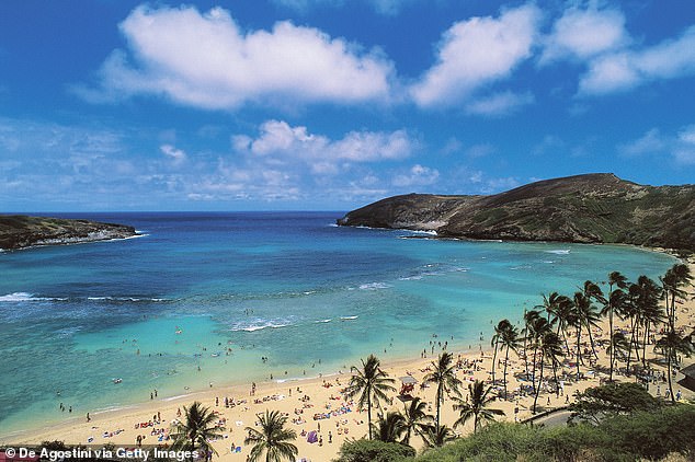 Bay Area woman, 66, dies while snorkeling during trip to paradise Hawaii island