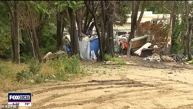 Dallas bought a plot of land for $1.8million only for an elaborate, hidden homeless encampment to occupy it for nearly two DECADES