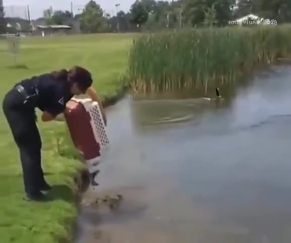 protective presumed ornate