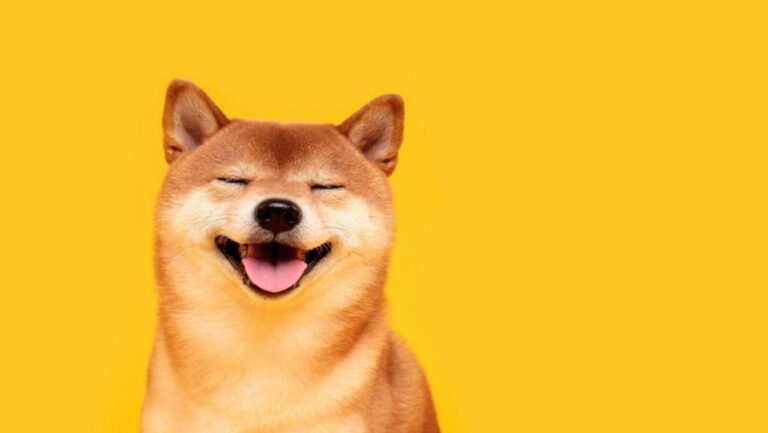 Dogecoin zooms 10% in breakaway from bitcoin as open interest hits year-high