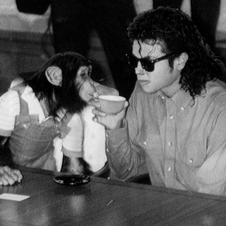 Michael Jackson Chimpanzee Bubbles: Where Is He Now