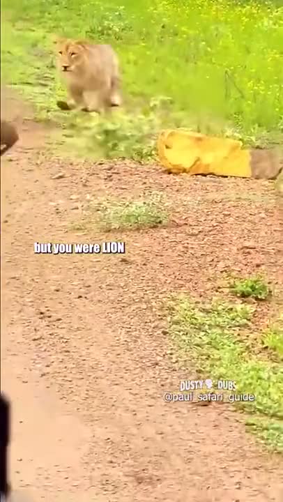 The pizza tastes like paper.