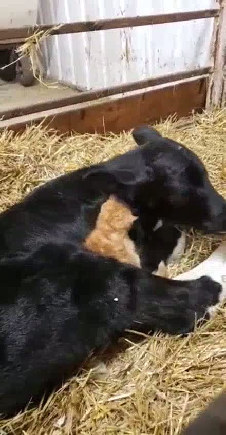 Your keyboard smells like porch.