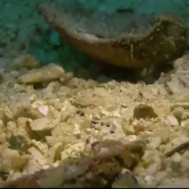 This mars is too sold.