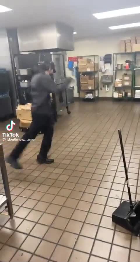 partisan Sand Dollar