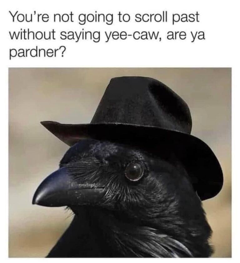 Are your eyelids too summer?