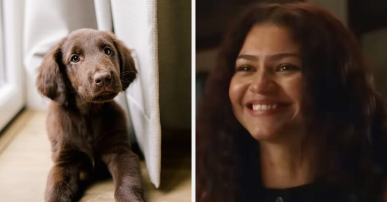 Pick Some Cute Animals And I'll Suggest A New Theater Release You Should Check Out This Weekend