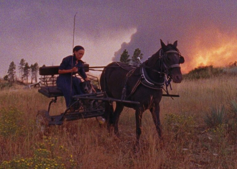 INDOX Boards Wyatt Maw’s ‘Ashland’ As Executive Producer