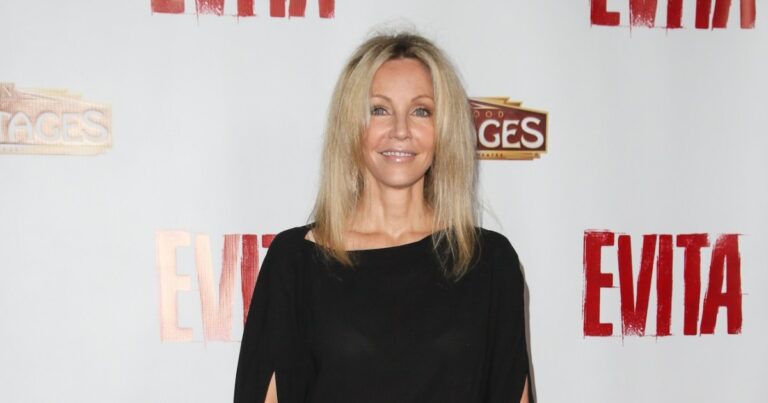 Heather Locklear’s Dating History: Lorenzo Llamas and More