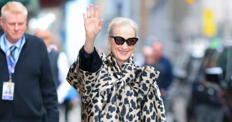 Copy Meryl Streep’s $745 Rich Woman Handbag Look for Just $37