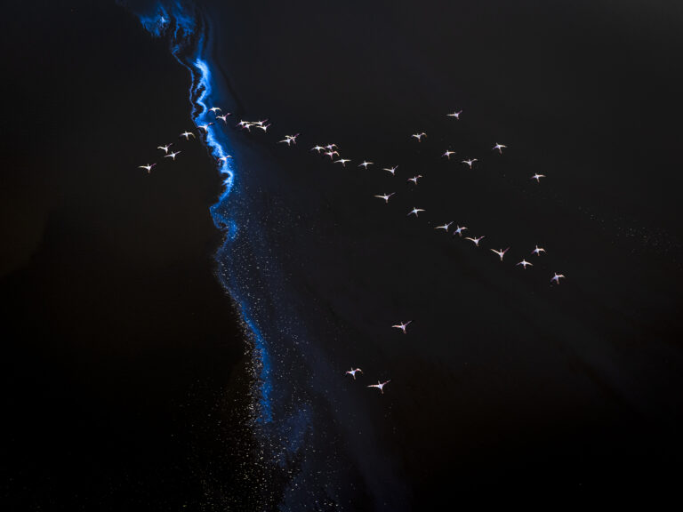 Jon McCormack’s Stunning Nature Photobook Reveals Hidden Geometry Across the Planet