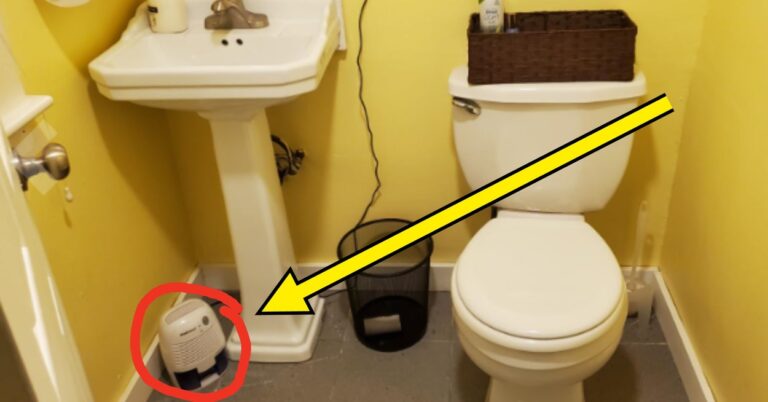 23 Renter-Approved Home Improvement Projects That Completely Changed People's Apartments And Houses For The Better