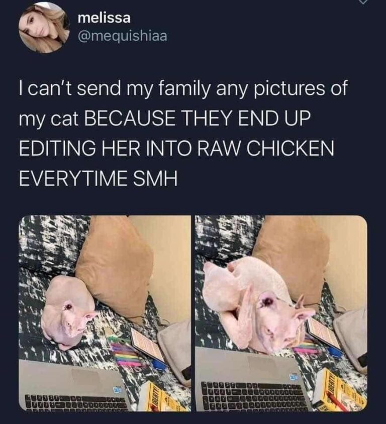 peaceful cynical grumpy