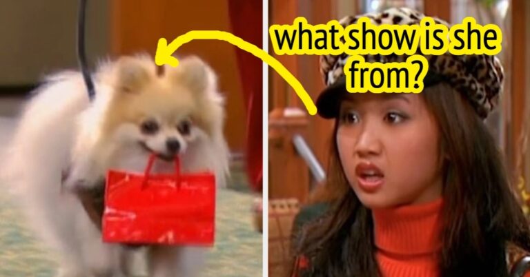 Can You Guess The Disney Channel Show Just From The Description Of The Pet?