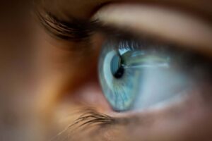 Virus from marine animals is causing weird eye problems in people