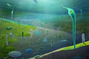 Surprise fossil discoveries push back the evolution of complex animals