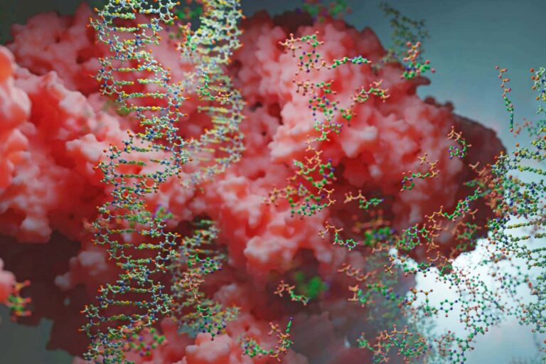 Doubts cast over ‘wild’ claim that magnetic control can turn on genes