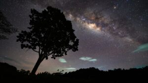 New moon of April 2026 brings incredible views of the constellation Hydra, Jupiter, Venus and more this week