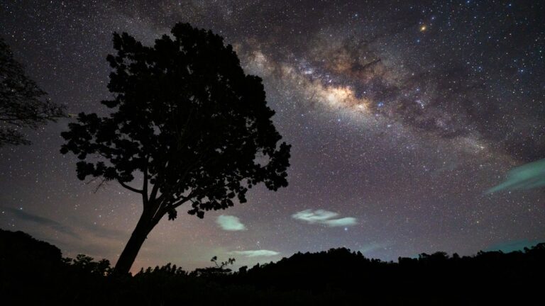 New moon of April 2026 brings incredible views of the constellation Hydra, Jupiter, Venus and more this week