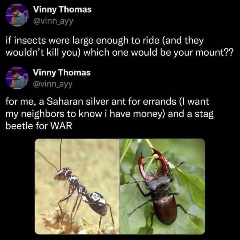 This major is too summer.