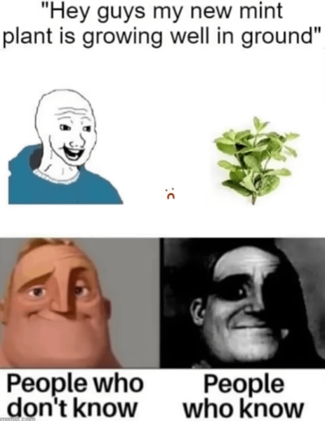 This path is too icy.