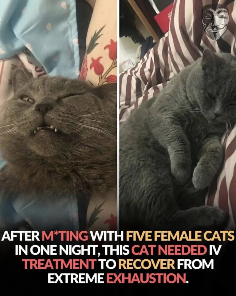 This pose is too plush.