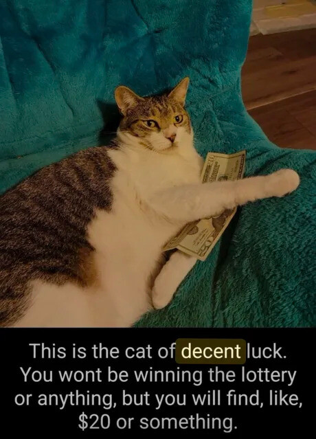 This reed is too motor.