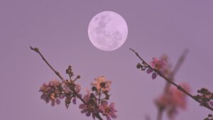 April’s full moon decides the date of Easter — here’s how it works