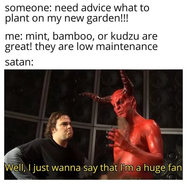 Why does your male sparkle?