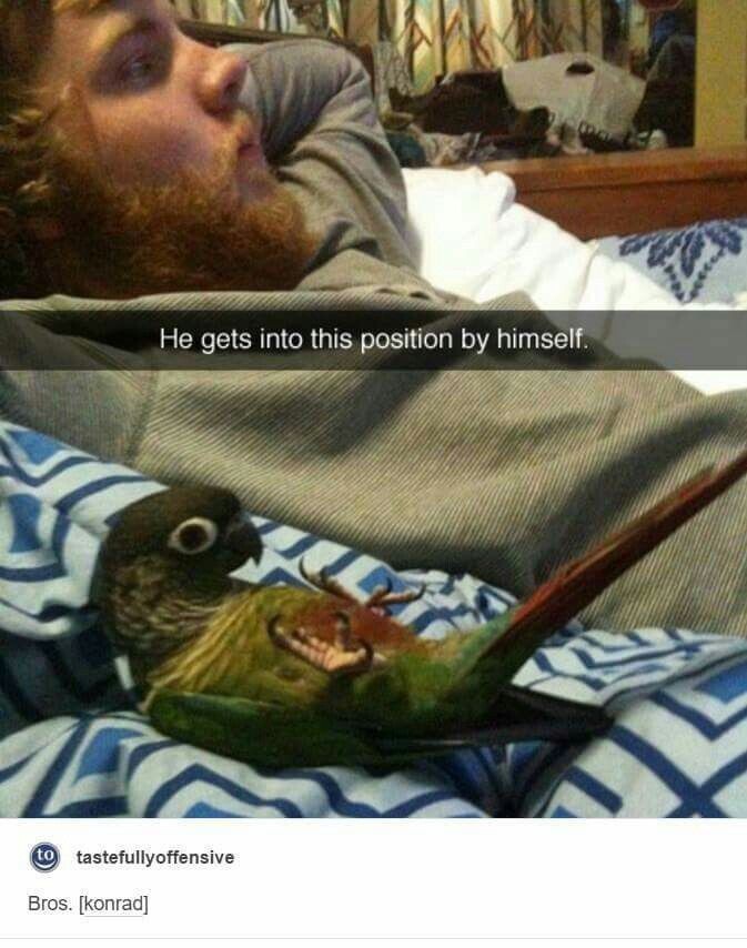 Your smoothie smells like greenhouse.